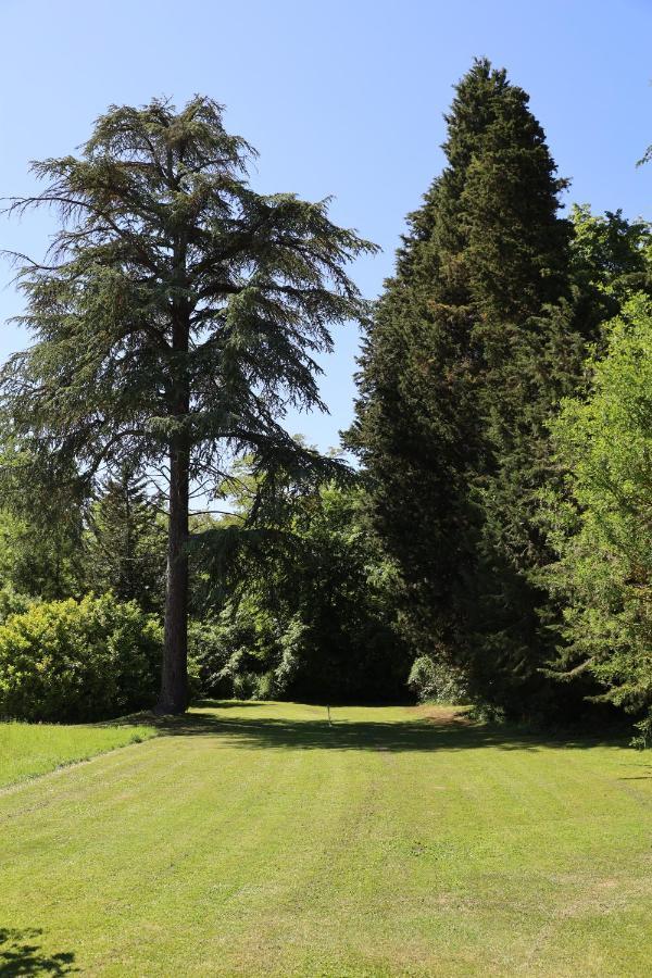 Domaine De Pouroutounat Mirepoix  Exterior foto